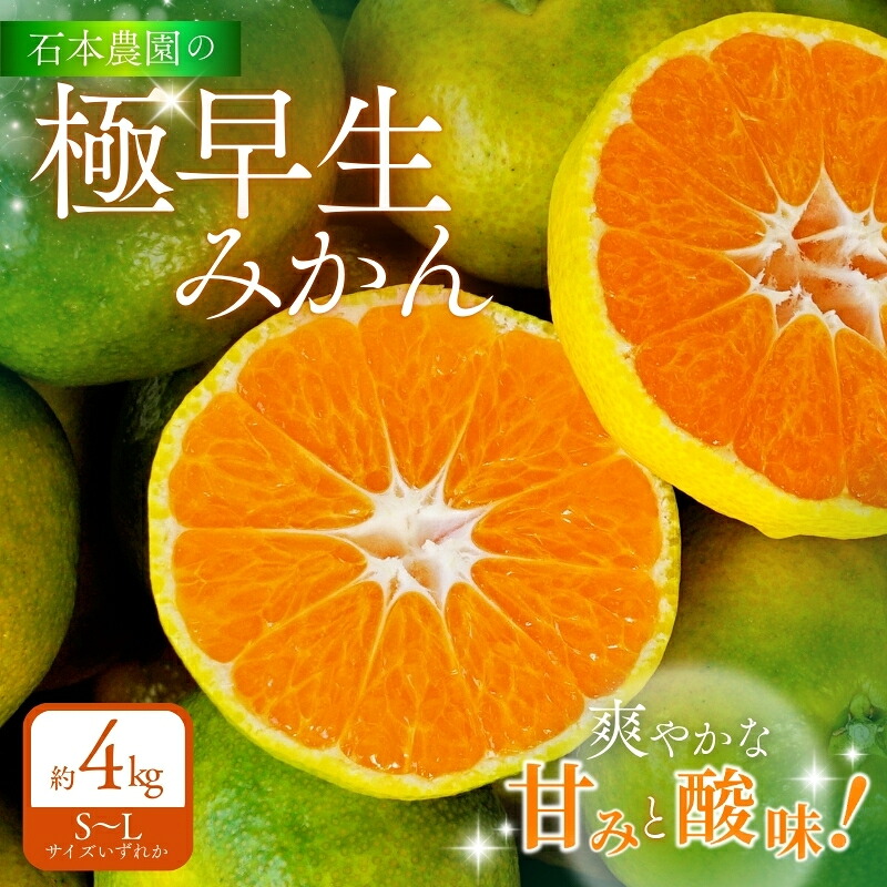 2Sサイズ 石本農園の早生温州みかん約4kg