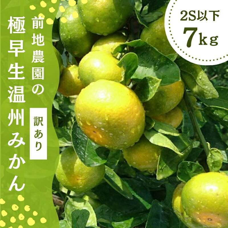 2S以下 前地農園の極早生温州みかん ご