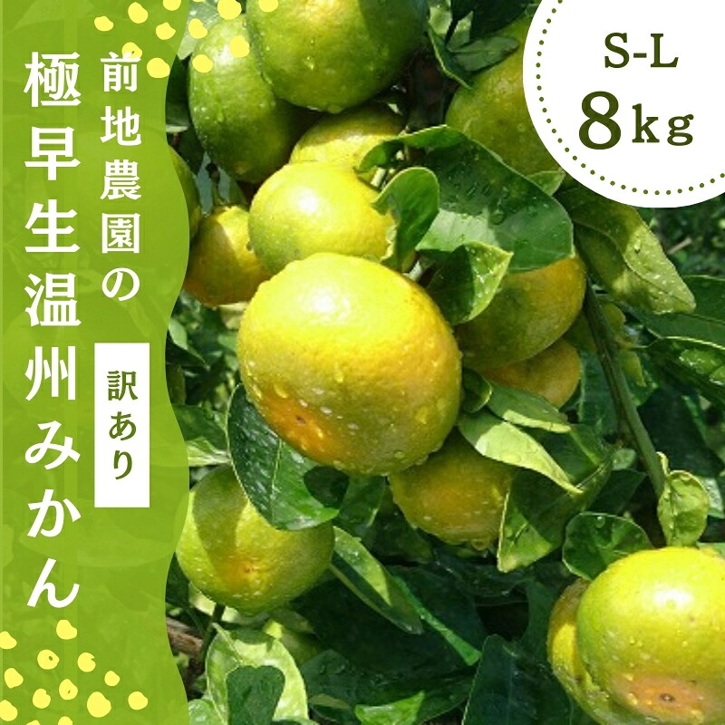S-L サイズおまかせ ご 訳あり 前地農園の極早生温州みかん…
