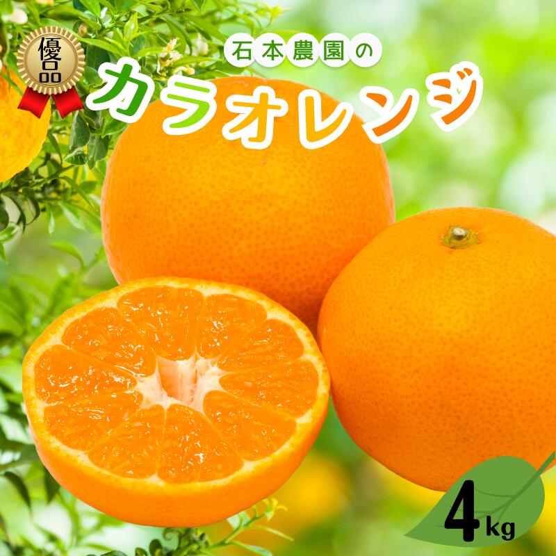 M以上の優品 石本農園のカラオレンジ 約4kg