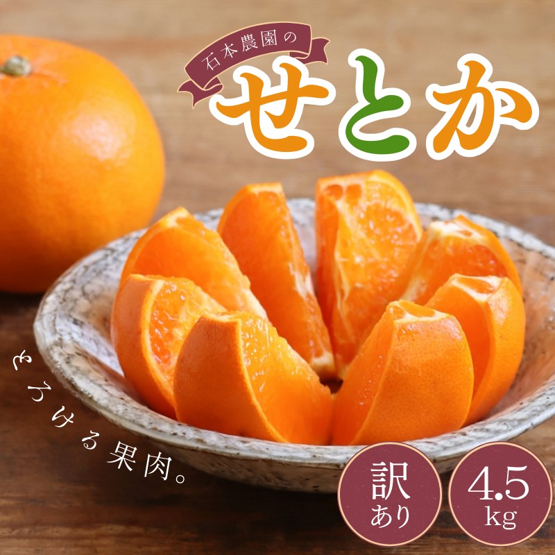 石本農園のせとか 4.5kg