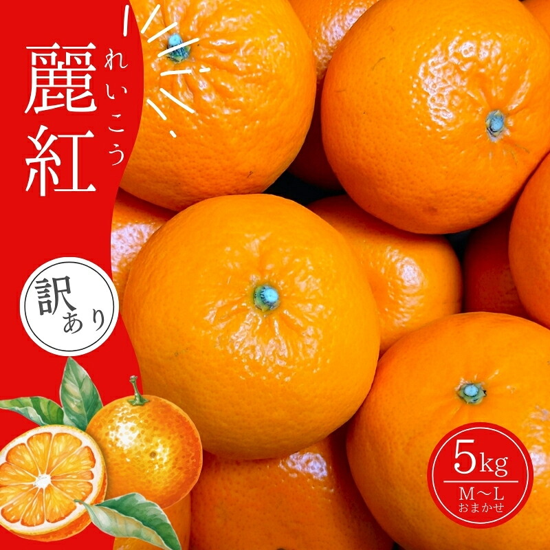 M-L サイズおまかせ 前地農園の麗紅 れいこう 5kg