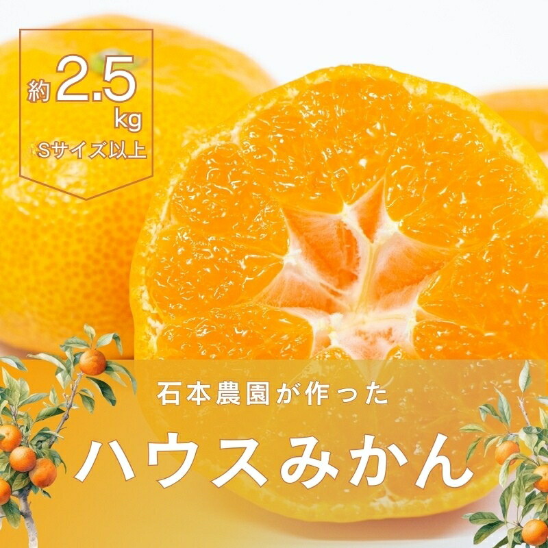 Sサイズ以上 サイズいずれか 石本農園のハウスみかん 2.5kg