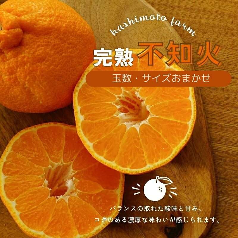 【先行予約】橋本農園の完熟不知火 10kg 玉数・サイズおまかせ【2027年2月中旬～3月中旬までに順次発送】 / デコポン 不知火 完熟 フルーツ 果物 くだもの 先行予約【mht004A】