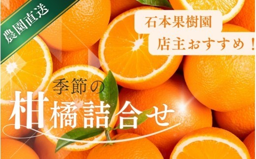 旬の柑橘 詰め合わせ セット 石本果樹園 店主