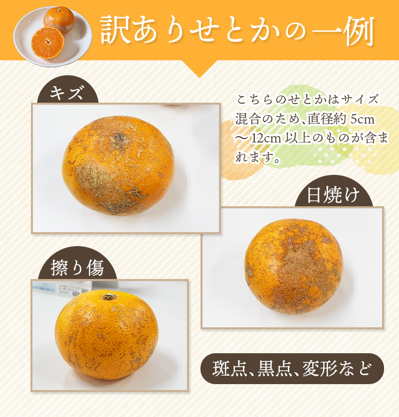 訳あり せとか 約3.5kg＋200g (傷み補償分)  大小混合 【2027年2月下旬から順次発送】 わけあり 訳アリ  みかん ミカン フルーツ 果物 くだもの【njb682B】