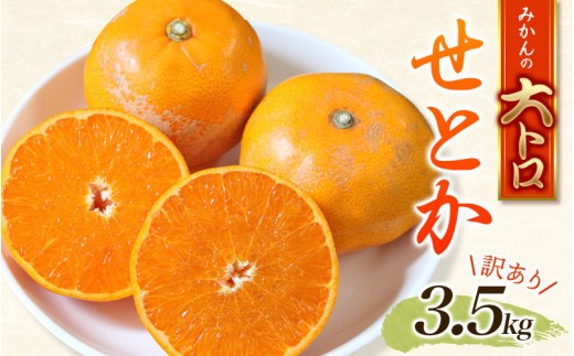 訳あり せとか 約3.5kg＋200g (傷み補償分)  大小混合 【2027年2月下旬から順次発送】 わけあり 訳アリ  みかん ミカン フルーツ 果物 くだもの【njb682B】