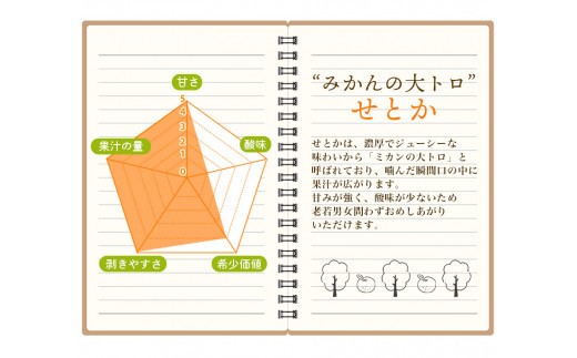 訳あり せとか 約3.5kg＋200g (傷み補償分)  大小混合 【2027年2月下旬から順次発送】 わけあり 訳アリ  みかん ミカン フルーツ 果物 くだもの【njb682B】