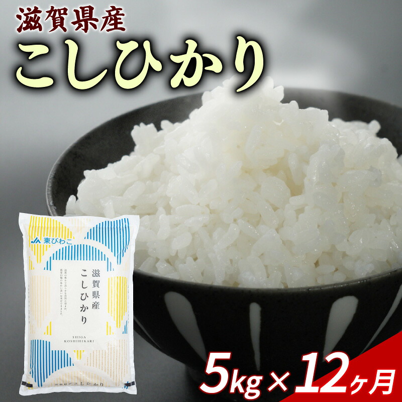 こしひかり 5kg 12回定期便 令和7年産 定期便 米 精米 こめ コメ お米 ご飯 米 コシヒカリ 米定期便 12か月定期便 12ヶ月定期便 12回 12ヶ月 12か月 滋賀 彦根 【米】