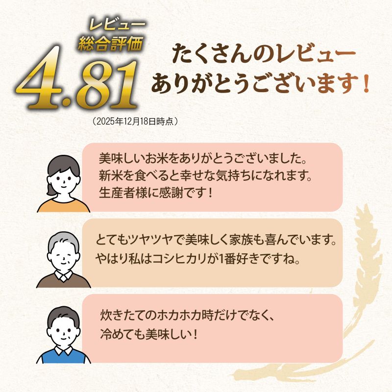 こしひかり 5kg 12回定期便 令和7年産 定期便 米 精米 こめ コメ お米 ご飯 米 コシヒカリ 米定期便 12か月定期便 12ヶ月定期便 12回 12ヶ月 12か月 滋賀 彦根 【米】