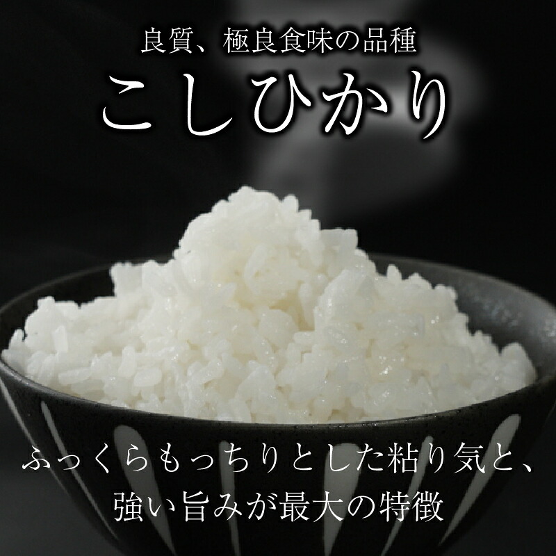こしひかり 5kg 12回定期便 令和7年産 定期便 米 精米 こめ コメ お米 ご飯 米 コシヒカリ 米定期便 12か月定期便 12ヶ月定期便 12回 12ヶ月 12か月 滋賀 彦根 【米】