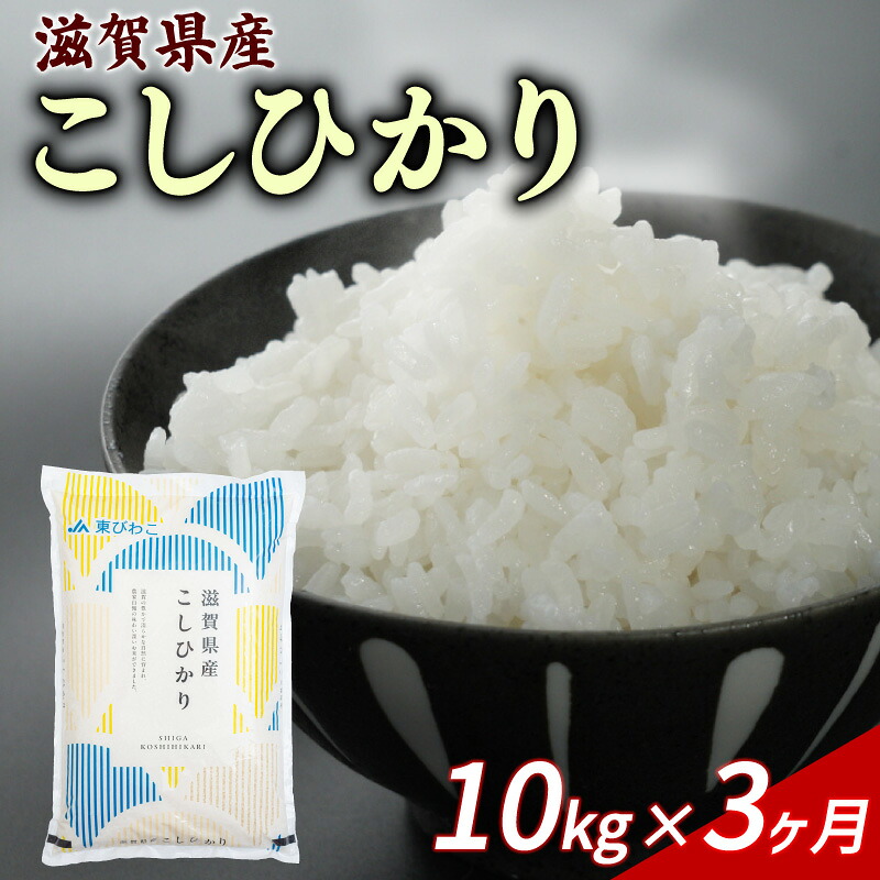 こしひかり 10kg