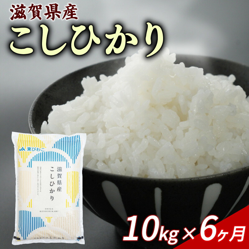 こしひかり 10kg