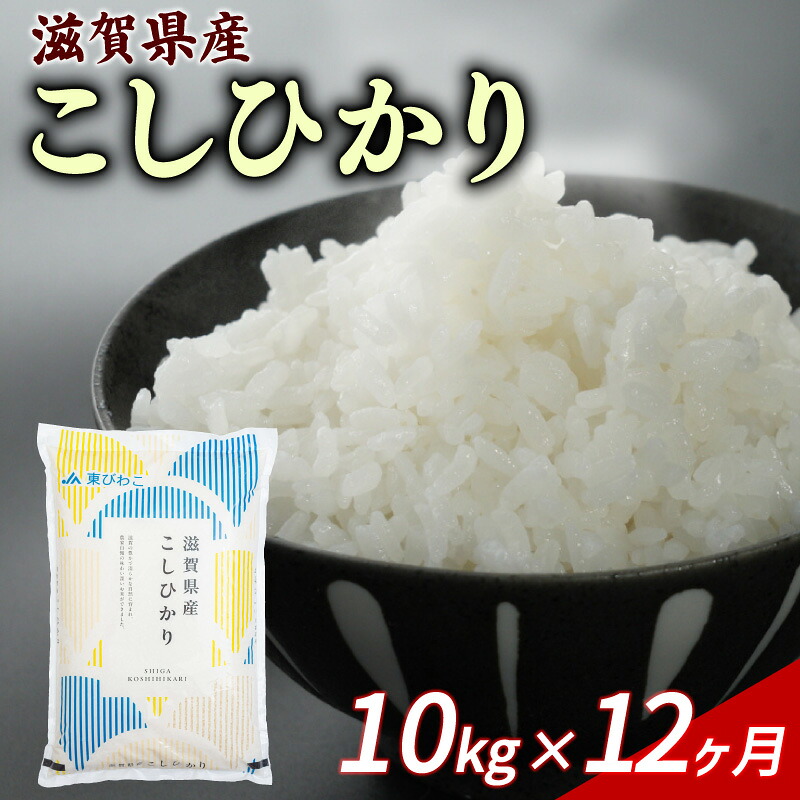 こしひかり 10kg