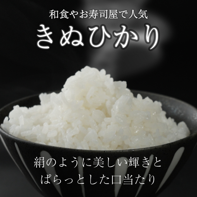 きぬひかり 5kg 12回定期便 令和7年産 定期便 米 精米 こめ コメ お米 ご飯 米 キヌヒカリ 米定期便 12か月定期便 12ヶ月定期便 12回 12ヶ月 12か月 滋賀 彦根