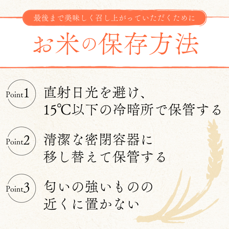 きぬひかり 5kg 12回定期便 令和7年産 定期便 米 精米 こめ コメ お米 ご飯 米 キヌヒカリ 米定期便 12か月定期便 12ヶ月定期便 12回 12ヶ月 12か月 滋賀 彦根