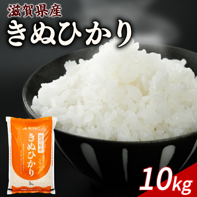 きぬひかり 10kg