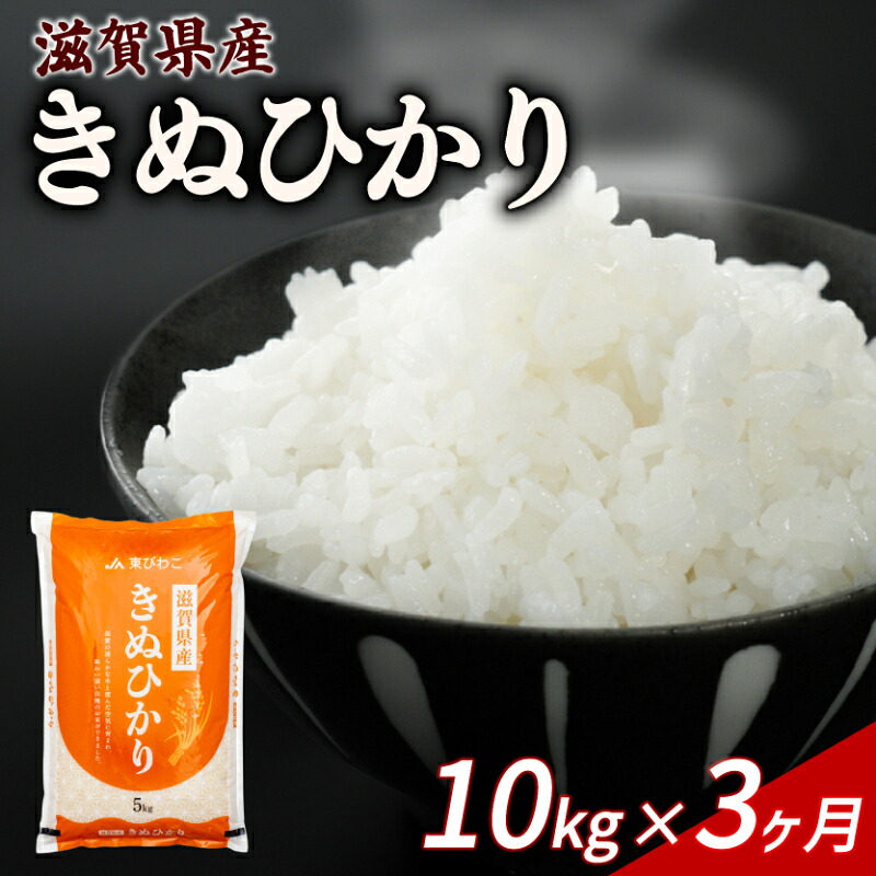 きぬひかり 10kg