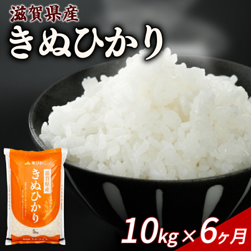 きぬひかり 10kg