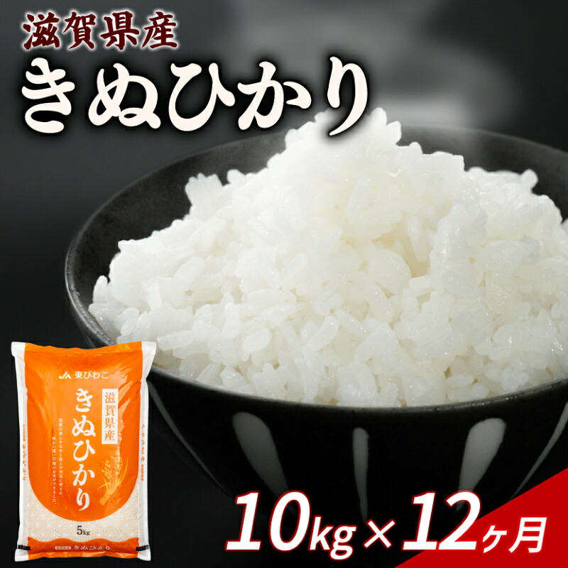 きぬひかり 10kg