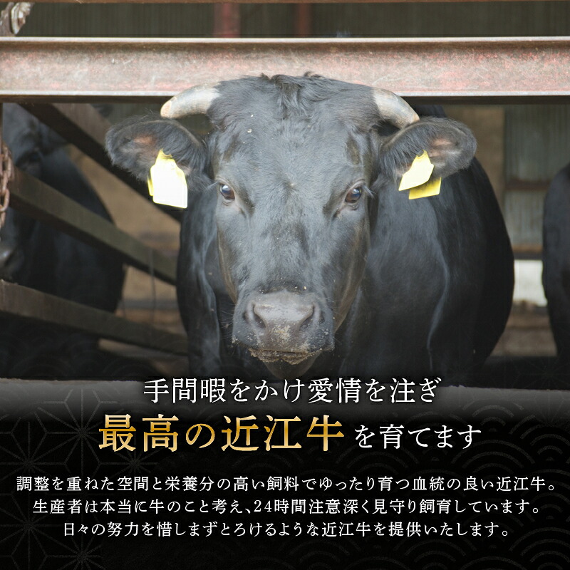 近江牛 千成亭 しゃぶしゃぶ用肩ロース 1.2kg 肩ロース 肉 しゃぶしゃぶ しゃぶしゃぶ用 1200g 牛肉 国産 和牛 冷凍 近江牛しゃぶしゃぶ 和牛しゃぶしゃぶ ロース ロース肉 スライス