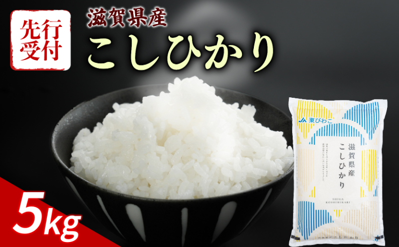 新米 こしひかり 5kg