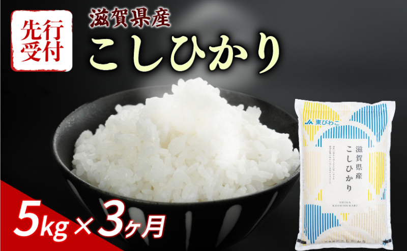 新米 こしひかり 5kg
