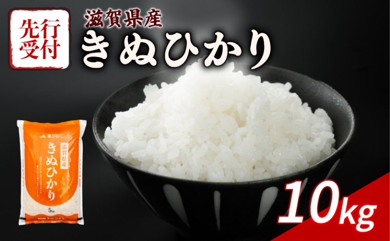 新米 きぬひかり 10kg