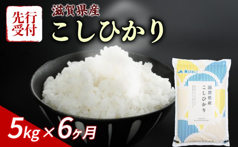 新米 こしひかり 5kg