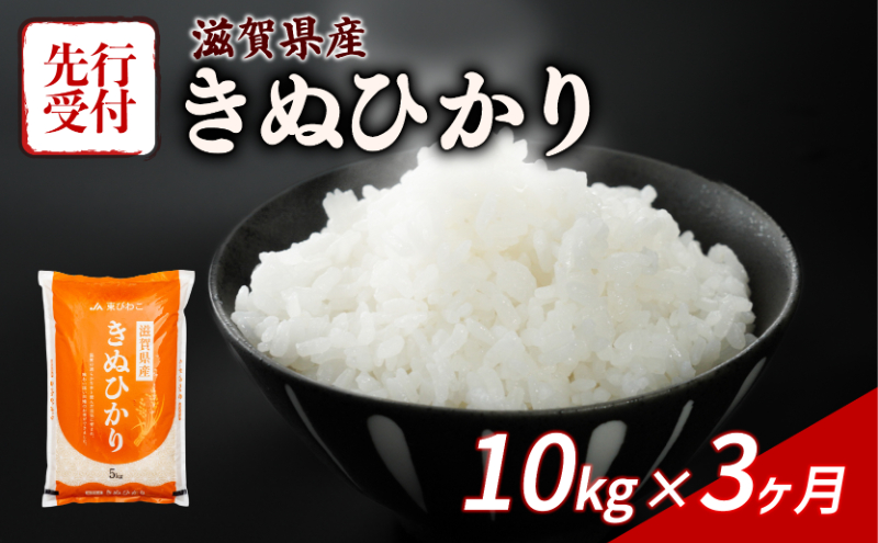 新米 きぬひかり 10kg