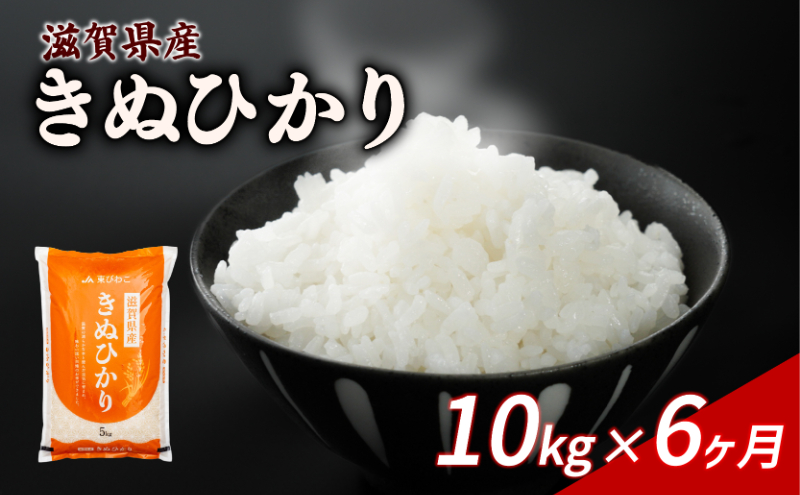 新米 きぬひかり 10kg