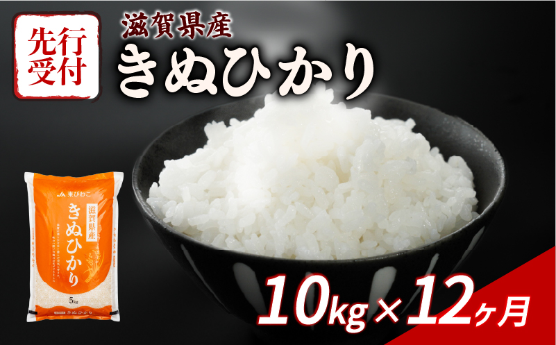 新米 きぬひかり 10kg