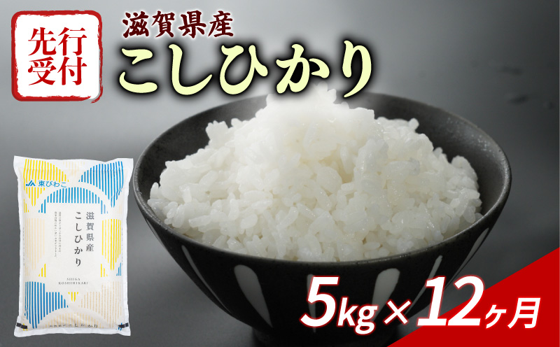 新米 こしひかり 5kg