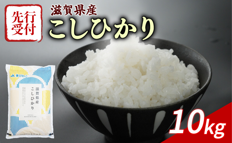 新米 こしひかり 10kg