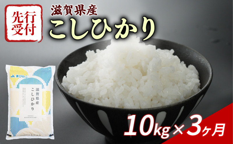 新米 こしひかり 10kg
