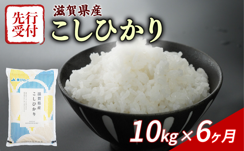 新米 こしひかり 10kg