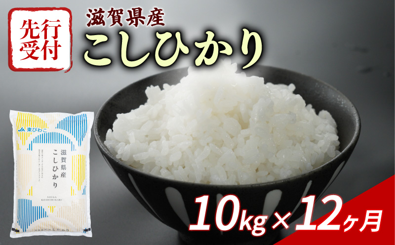 新米 こしひかり 10kg