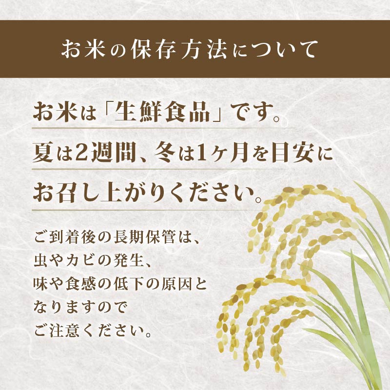 【 新米予約 】 令和8年産 新米 特別栽培米 コシヒカリ 予約 米 5kg 白米 定期便 6ヶ月 計30kg こしひかり 国産 滋賀県 日野町 農家直送 環境こだわり米 お米 おこめ こめ 産地直送