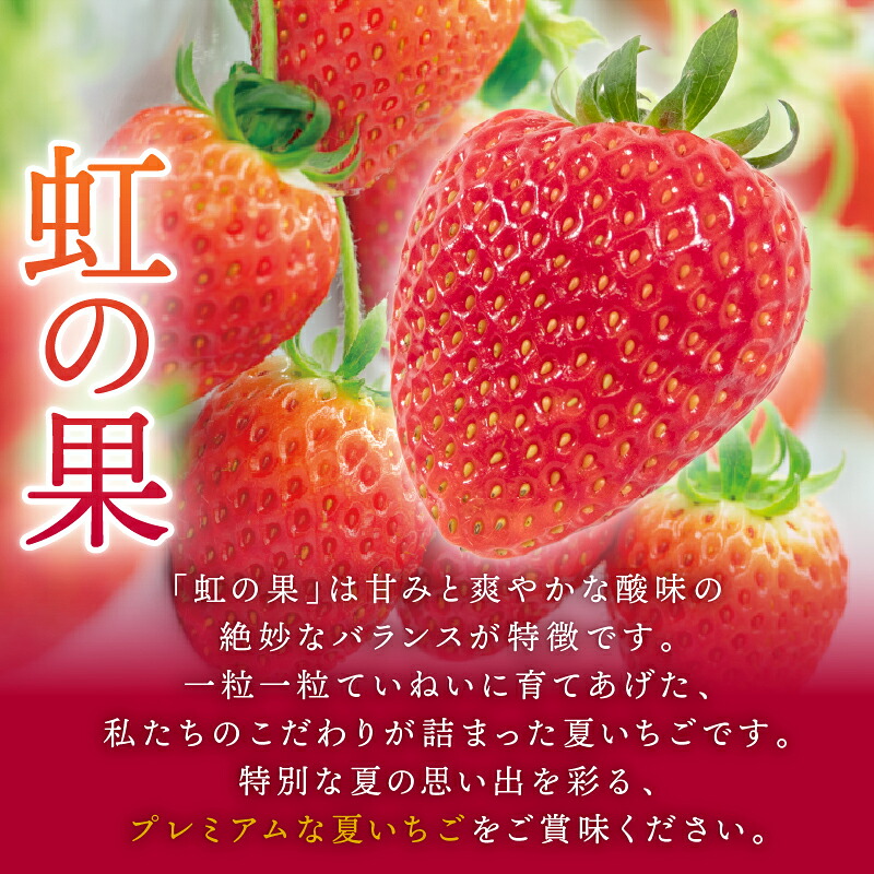 虹の果 夏 いちご 1箱 400g ~ 300g (M~LLサイズ) 冷蔵 贈答用 イチゴ 苺 デザート フルーツ 夏イチゴ にじのか 章姫 あきひめ 果物 期間限定 数量限定 特別栽培 特産品 ブランド