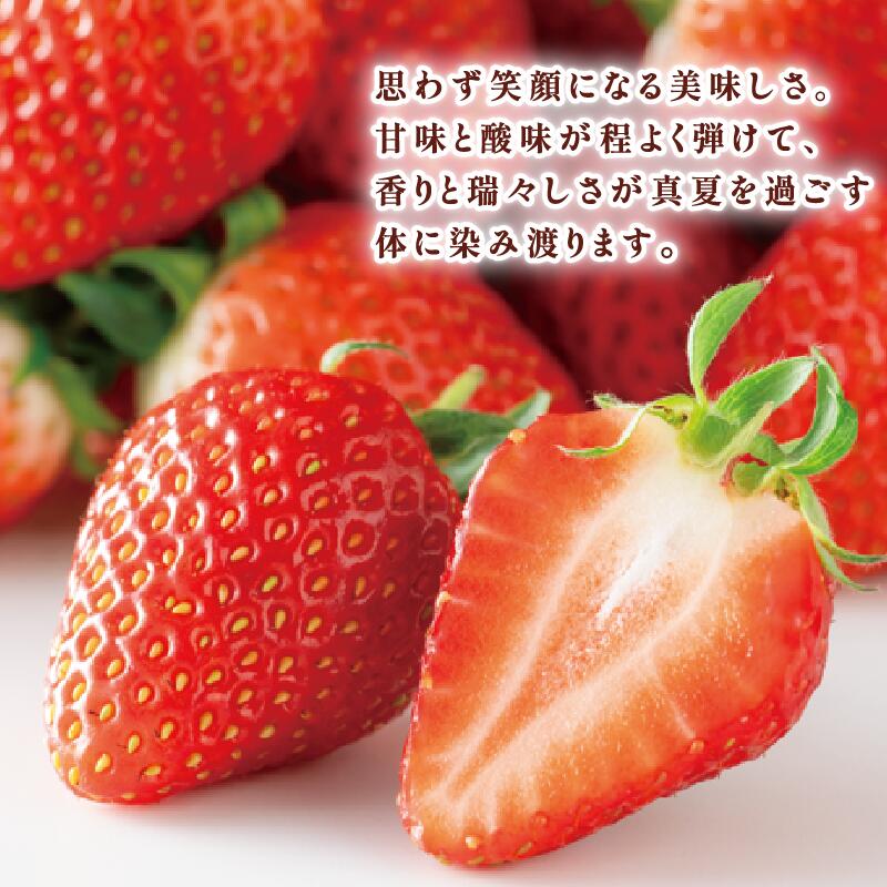 虹の果 夏 いちご 1箱 400g ~ 300g (M~LLサイズ) 冷蔵 贈答用 イチゴ 苺 デザート フルーツ 夏イチゴ にじのか 章姫 あきひめ 果物 期間限定 数量限定 特別栽培 特産品 ブランド