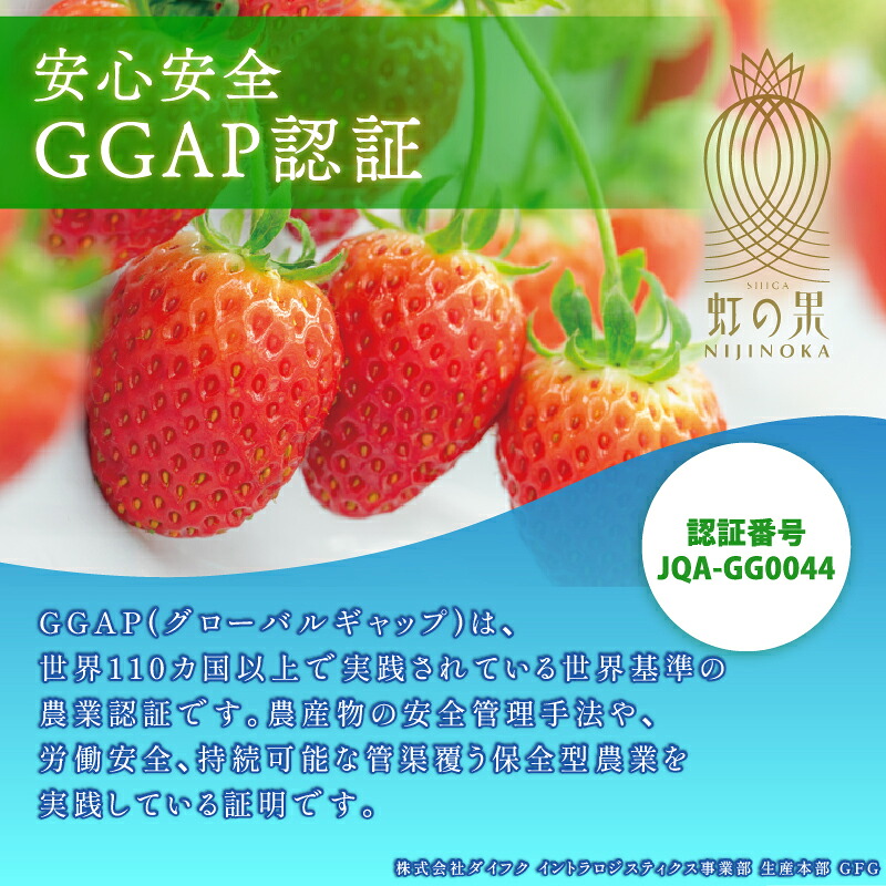 虹の果 夏 いちご 1箱 400g ~ 300g (M~LLサイズ) 冷蔵 贈答用 イチゴ 苺 デザート フルーツ 夏イチゴ にじのか 章姫 あきひめ 果物 期間限定 数量限定 特別栽培 特産品 ブランド