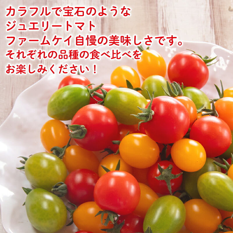 【先行予約】 ジュエリー トマト 500g 1kg フルーツ トマト とまと 完熟 甘い ミニトマト プチ 旬 国産 おかず 惣菜 予約 先行予約