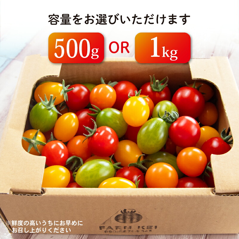 【先行予約】 ジュエリー トマト 500g 1kg フルーツ トマト とまと 完熟 甘い ミニトマト プチ 旬 国産 おかず 惣菜 予約 先行予約