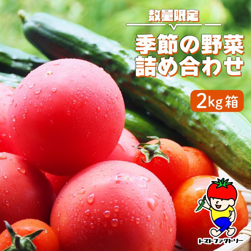 【期間限定】 トマトファクトリー 野菜 詰め合わせ セット トマト きゅうり 2kg 箱入り とまと キュウリ 野菜 やさい 野菜セット 新鮮 採れたて 季節 甘い 糖度 高糖度 あまい 食材 旬