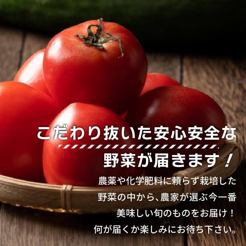 【期間限定】 トマトファクトリー 野菜 詰め合わせ セット トマト きゅうり 2kg 箱入り とまと キュウリ 野菜 やさい 野菜セット 新鮮 採れたて 季節 甘い 糖度 高糖度 あまい 食材 旬