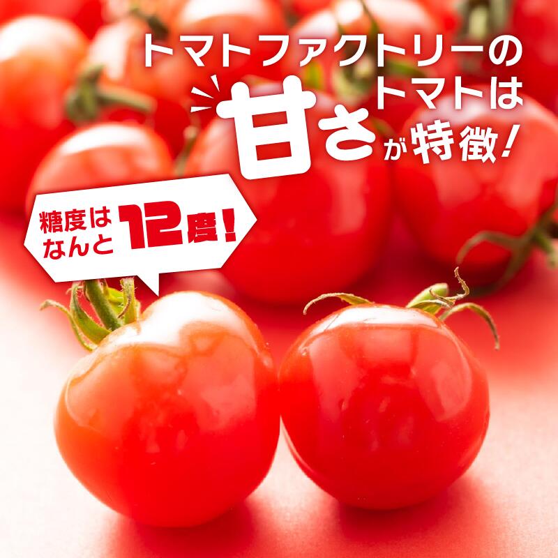 【期間限定】 トマトファクトリー 野菜 詰め合わせ セット トマト きゅうり 2kg 箱入り とまと キュウリ 野菜 やさい 野菜セット 新鮮 採れたて 季節 甘い 糖度 高糖度 あまい 食材 旬