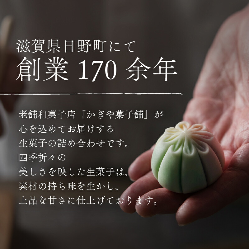 【ふるさと納税】 生菓子 冷凍 9個 18個 9種類 お茶菓子 お茶 和菓子 お菓子 おやつ スイーツ ギフト 御歳暮 お中元 贈り物 滋賀県 日野町 かぎや菓子舗