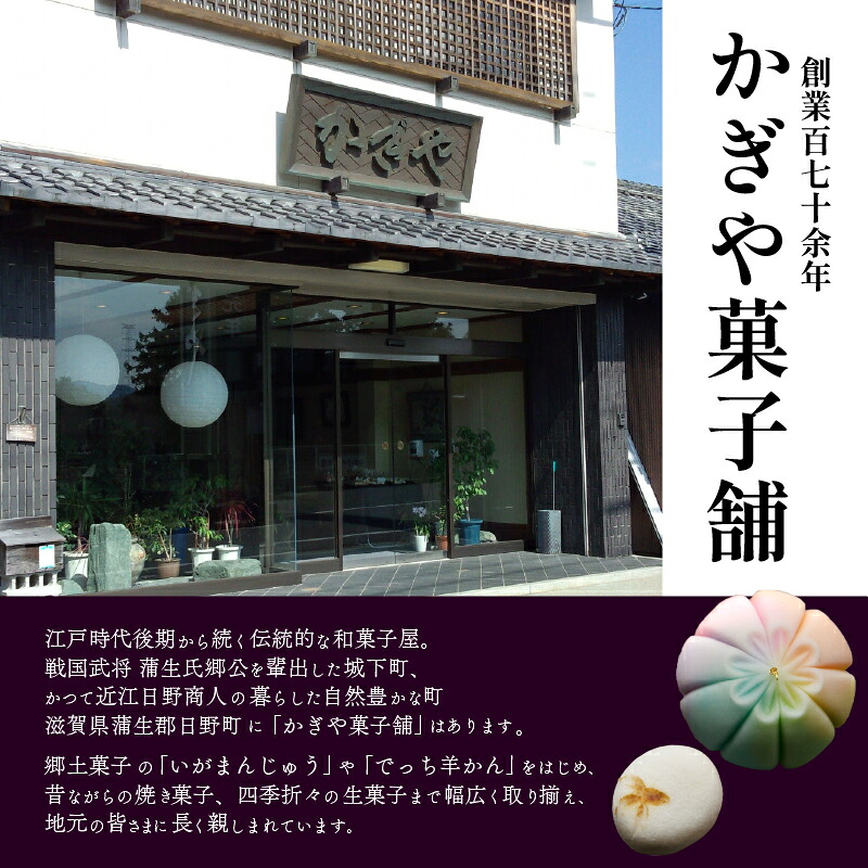 【ふるさと納税】 生菓子 冷凍 9個 18個 9種類 お茶菓子 お茶 和菓子 お菓子 おやつ スイーツ ギフト 御歳暮 お中元 贈り物 滋賀県 日野町 かぎや菓子舗