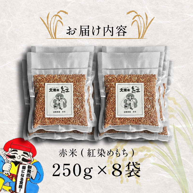 古代米 2kg 8袋 セット お試し 国産  雑穀米 滋賀県 日野町 農家直送 お米 おこめ こめ 産地直送 ふるさと納税