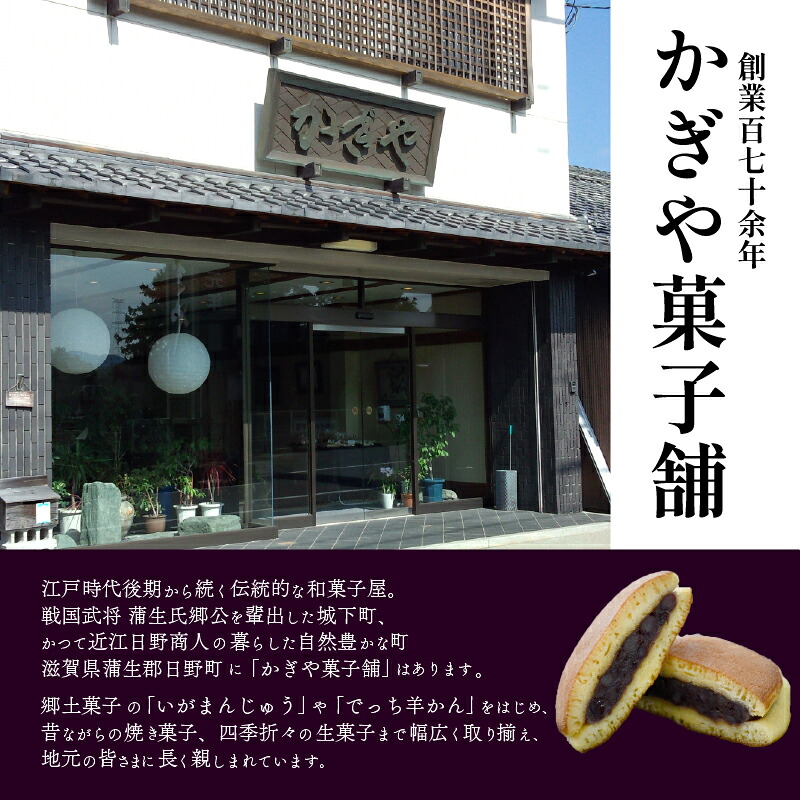 焼き菓子 8個 16個 20個 最中 どらやき そばまんじゅう 栗まんじゅう 詰め合わせ  簡易包装 お菓子 おやつ スイーツ 銘菓 お茶菓子 ギフト 夏 お中元 贈り物 ギフト 母の日 父の日 指定日 滋賀県 日野